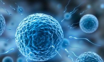 2026四平试管婴儿医院排名表(最受推崇权威详情)