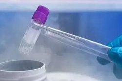 2026年东兴市可以做试管婴儿的医院有哪些？费用纳入医保了吗？