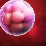 2026北京口碑比较好的助孕公司名单，7家技术好的机构全在这里