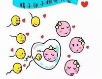 2026厦门试管婴儿医院最新排名上线(不孕女性请快收藏)