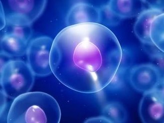 2026吉林省长春市排名前十的三代试管助孕机构有哪些