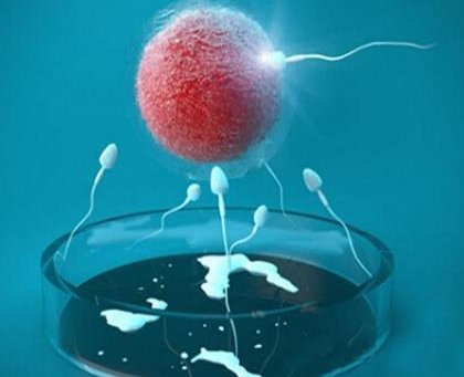 2026太原三代试管生孩子最新收费公布，附太原比较好试管医院名单